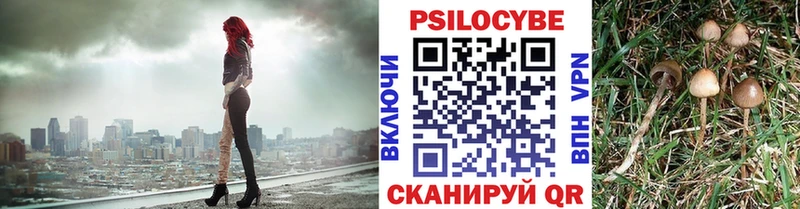Псилоцибиновые грибы MAGIC MUSHROOMS  закладки  Карасук 